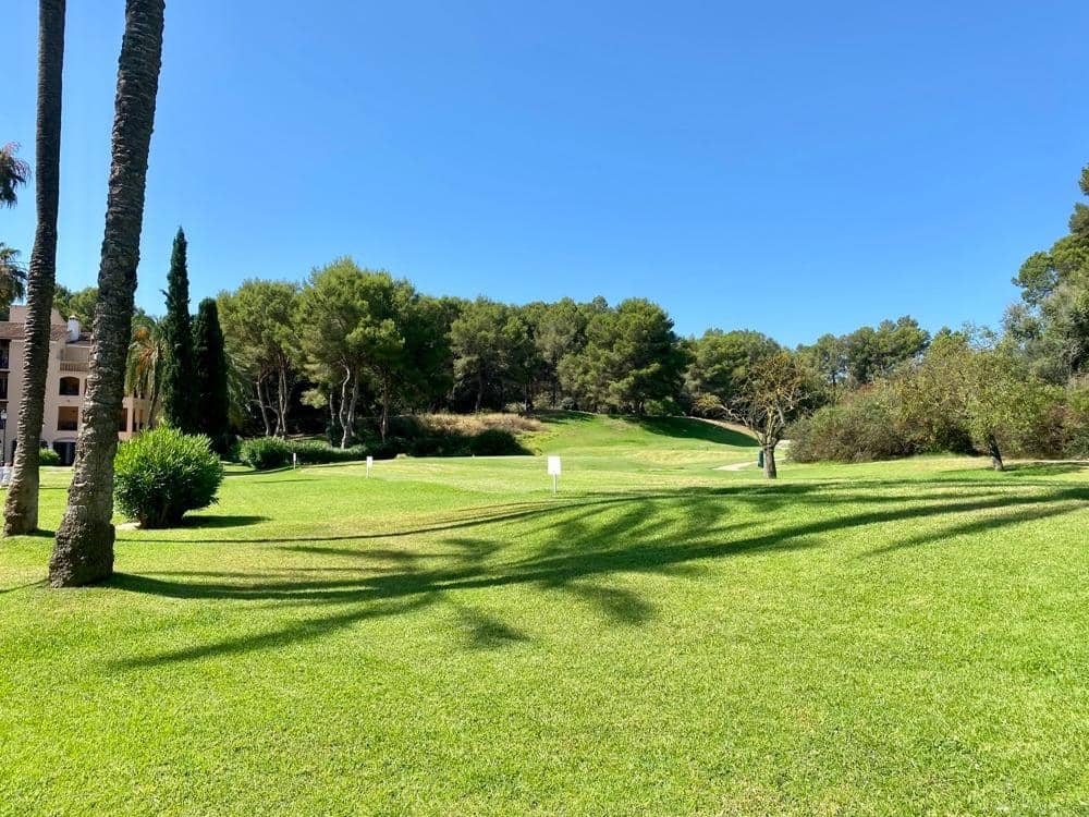 2 bedroom Flat for sale in Cas Catala with pool - € 650,000 (Ref: 9321965)