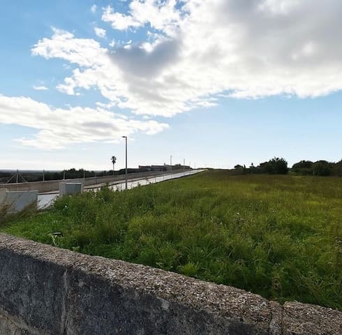 Bouwgrond te koop in Santa Margalida - € 895.000 (Ref: 9488378)