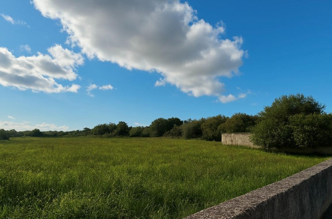 Building Plot for sale in Santa Margalida - € 895,000 (Ref: 9488378)