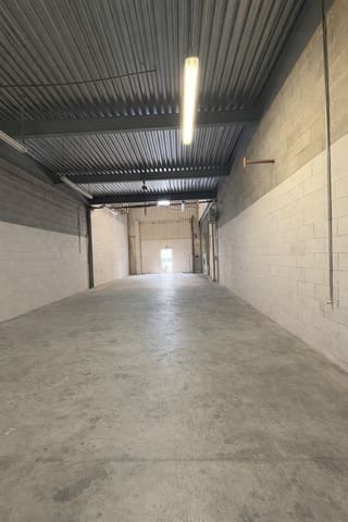 Bedrift til leie i Palma de Mallorca - € 3 500 (Ref: 9738639)