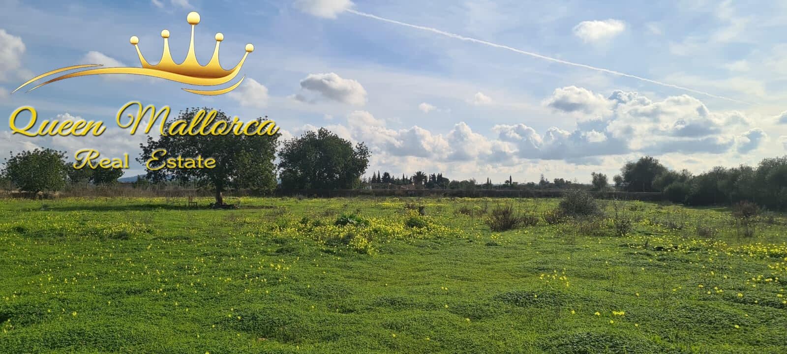Undeveloped Land for sale in Llucmajor - € 142,000 (Ref: 9825331)