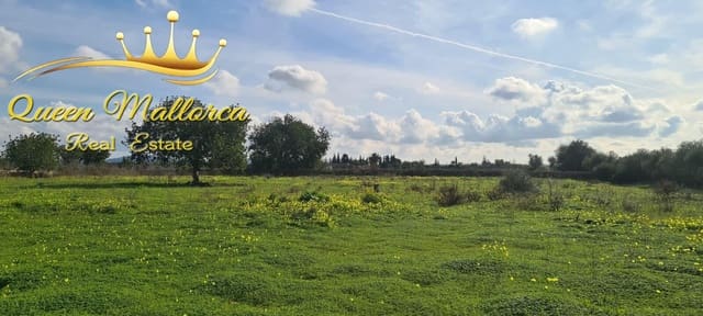 Rakentamaton maa myytävänä paikassa Llucmajor - 142 000 € (Ref: 9825331)