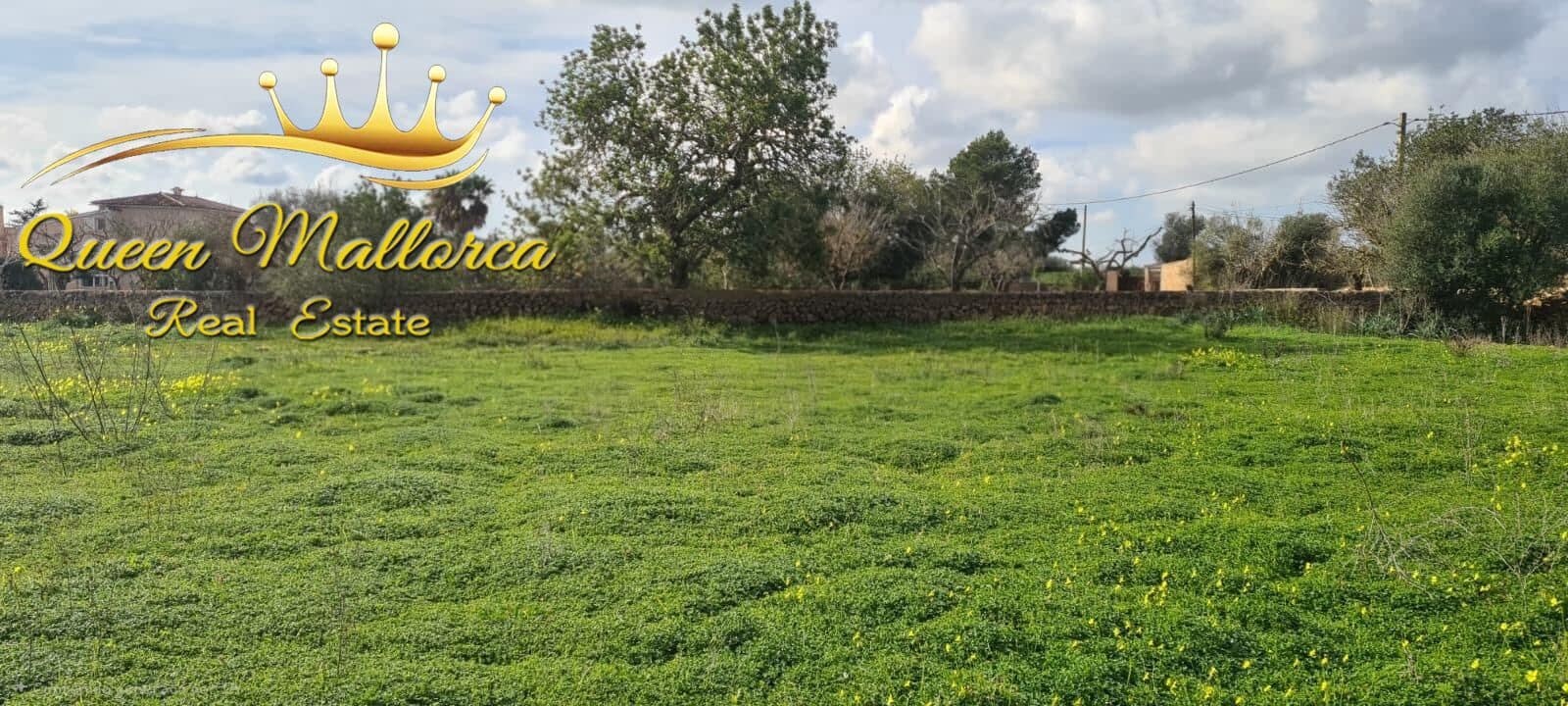 Undeveloped Land for sale in Llucmajor - € 142,000 (Ref: 9825331)