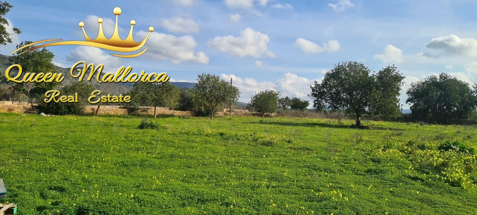 Undeveloped Land for sale in Llucmajor - € 142,000 (Ref: 9825331)