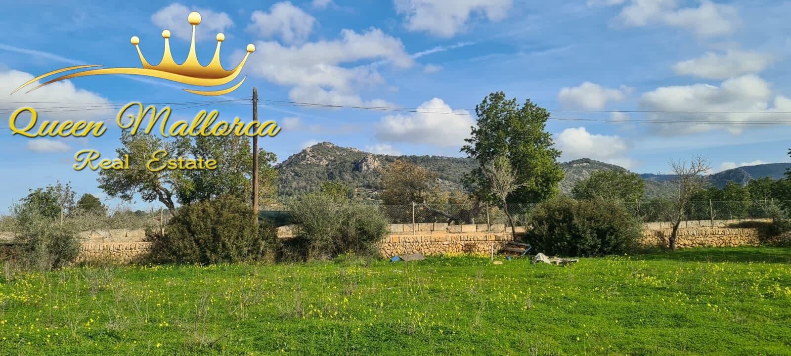 Undeveloped Land for sale in Llucmajor - € 142,000 (Ref: 9825331)