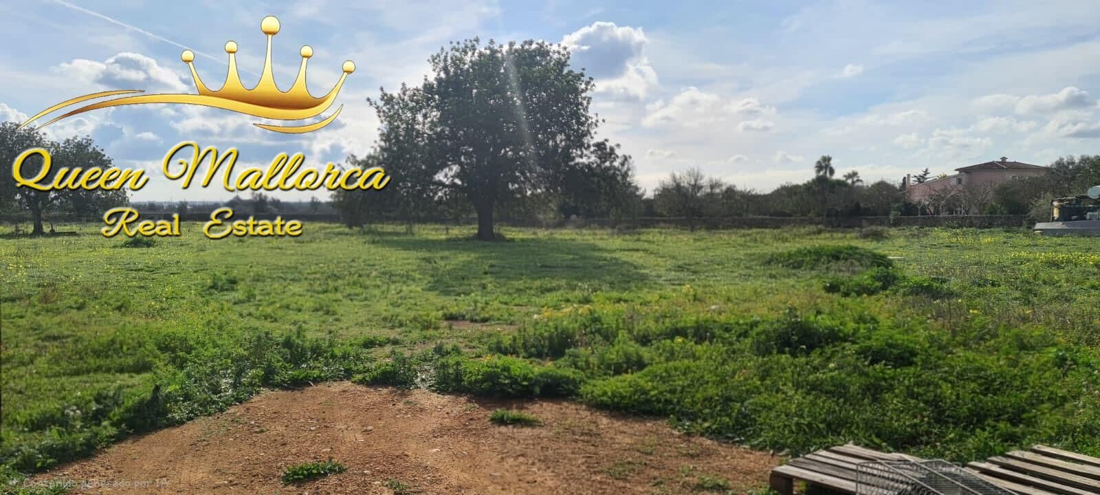 Undeveloped Land for sale in Llucmajor - € 142,000 (Ref: 9825331)
