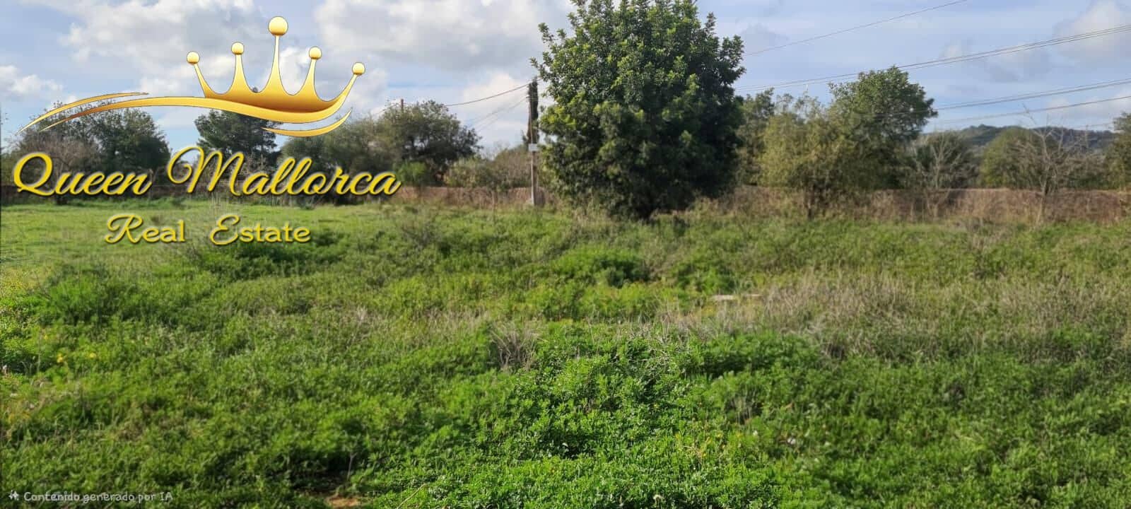 Undeveloped Land for sale in Llucmajor - € 142,000 (Ref: 9825331)