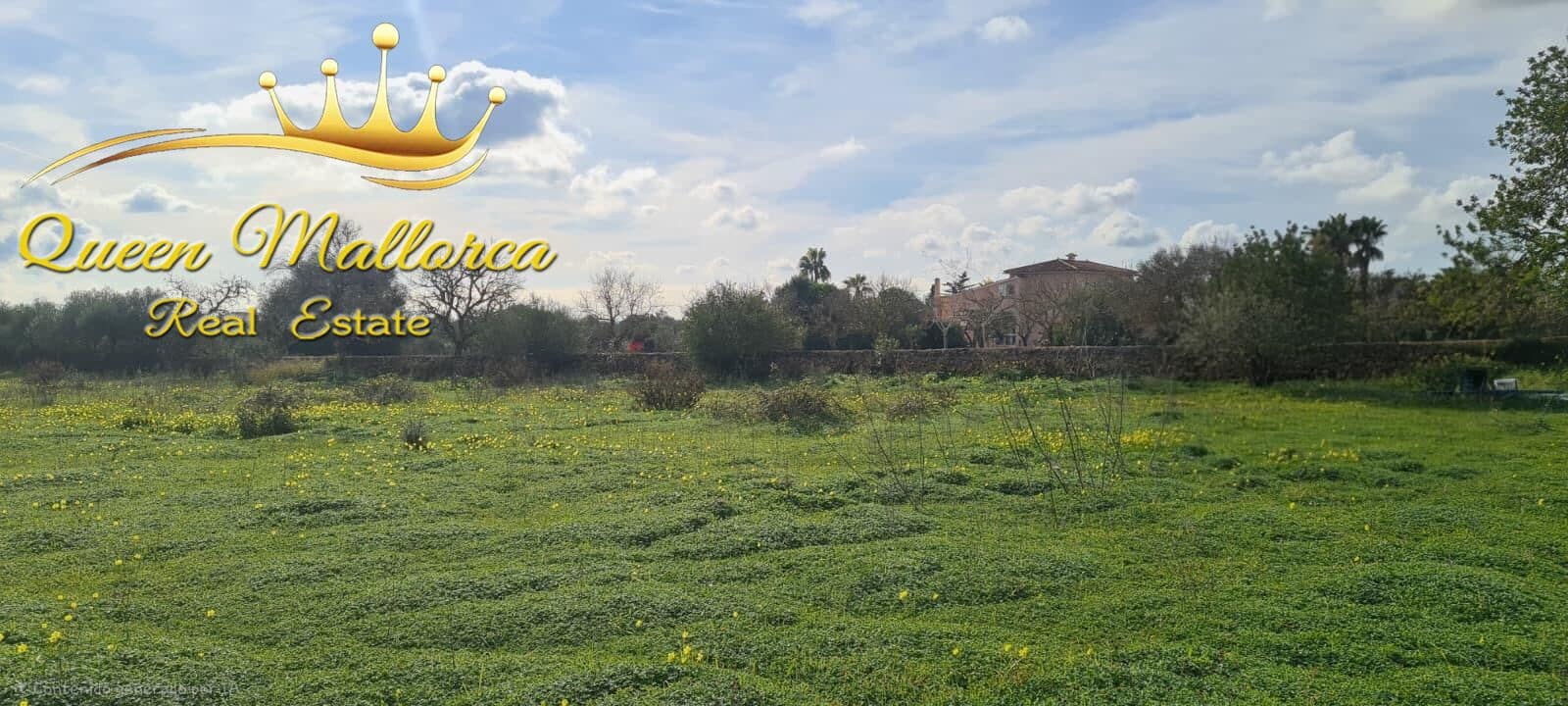 Undeveloped Land for sale in Llucmajor - € 142,000 (Ref: 9825331)
