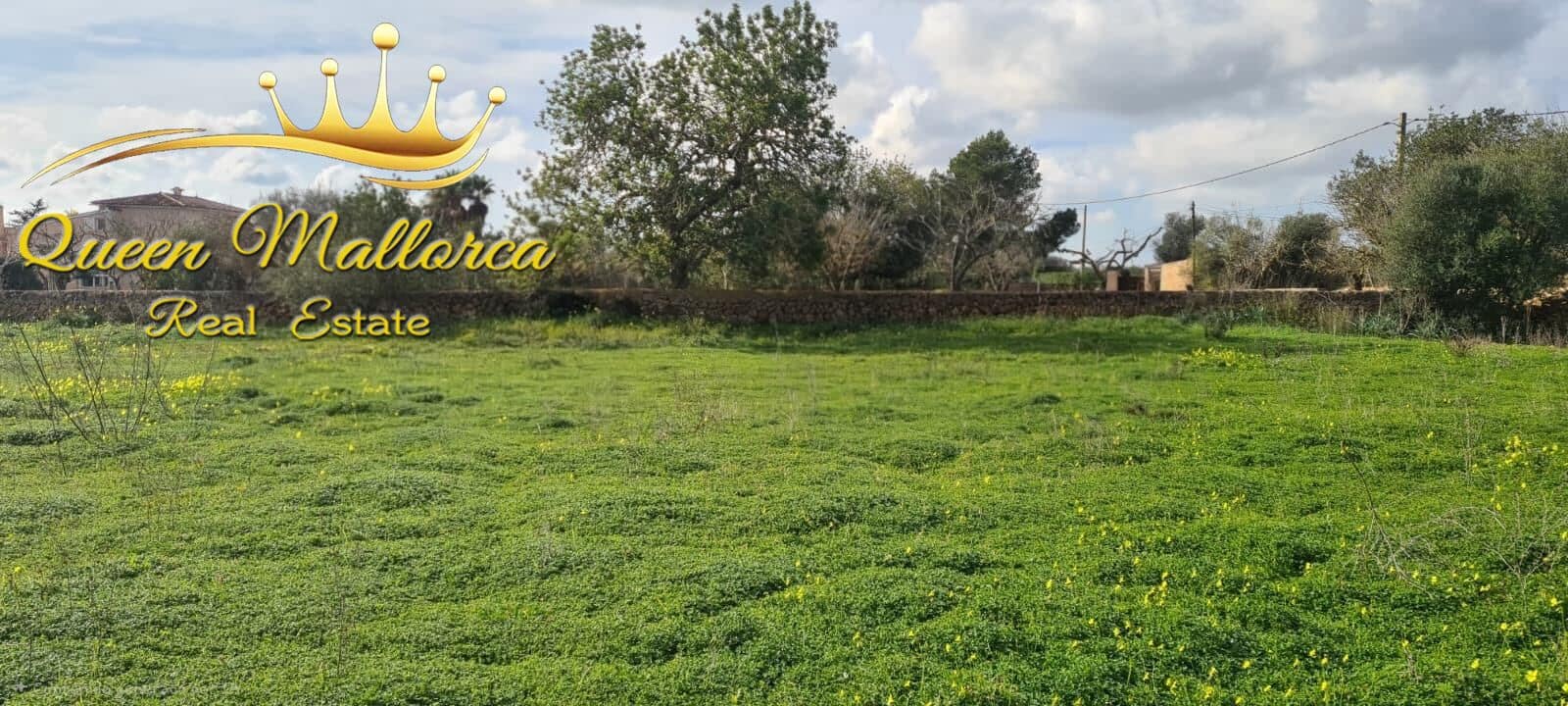 Undeveloped Land for sale in Llucmajor - € 142,000 (Ref: 9825331)