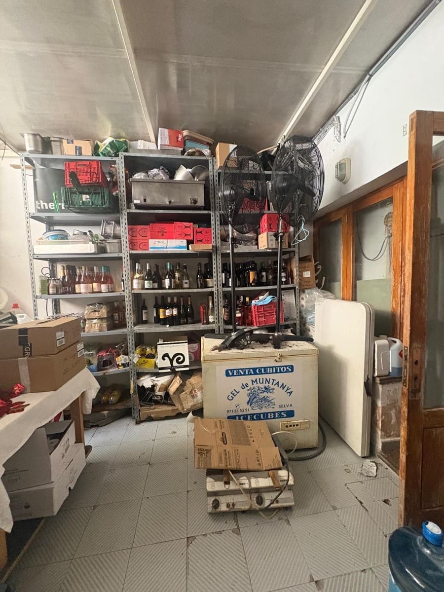 Business for rent in Pollensa / Pollenca - € 3,060 (Ref: 9839321)