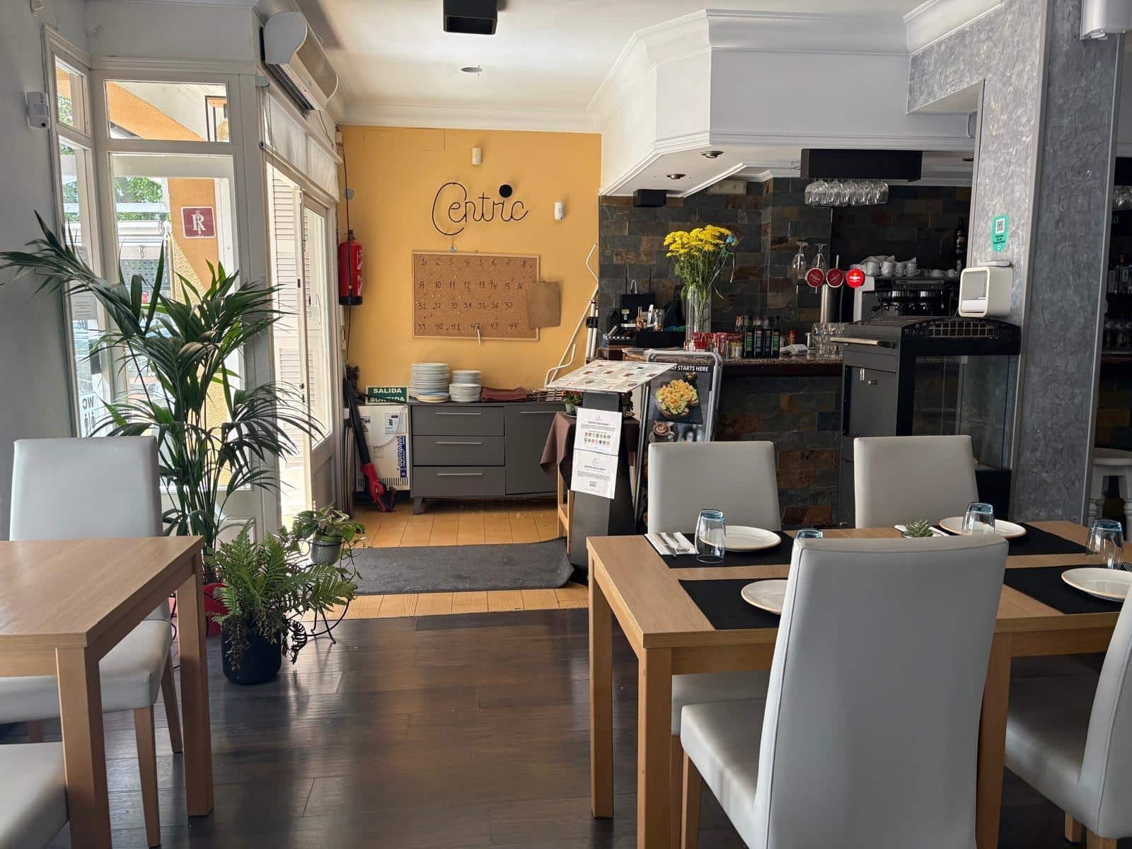 Business for rent in Pollensa / Pollenca - € 3,060 (Ref: 9839321)