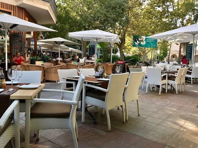 Virksomhed til leje i Port de Pollença, Pollensa / Pollença - € 3.060 (Ref: 9839321)