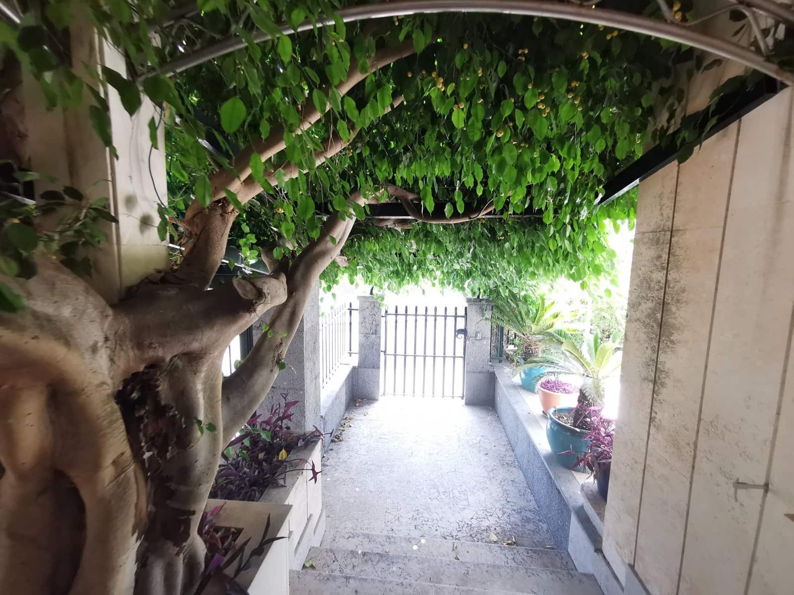 3 quarto Moradia para venda em Ca'n Picafort com garagem - 1 300 000 € (Ref: 9876504)