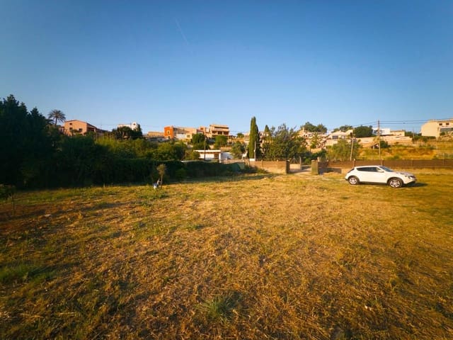 Terreno para Construção para arrendar em Palma de Mallorca - 950 € (Ref: 9890465)