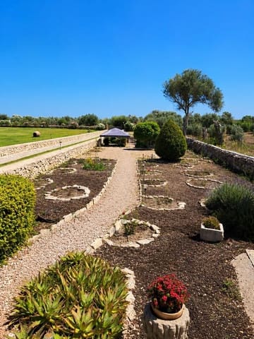 4 camera da letto Finca/Casa di Campagna in vendita in Ca'n Picafort, Santa Margalida con garage - 2.000.000 € (Rif: 9913239)