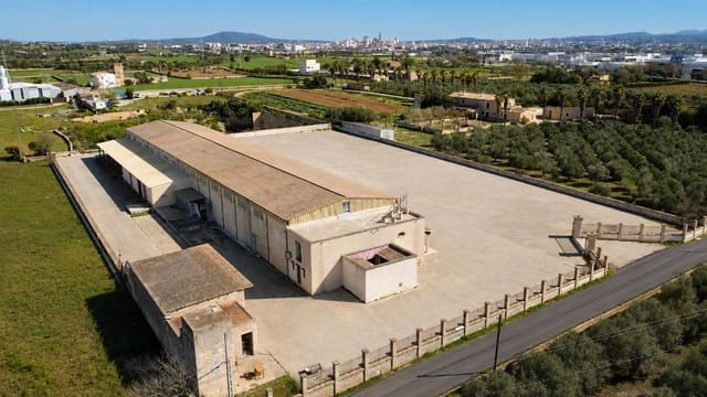 8 quarto Empresa para venda em Manacor com garagem - 2 100 000 € (Ref: 9940039)