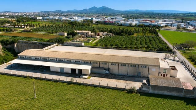 8 quarto Empresa para venda em Manacor com garagem - 2 100 000 € (Ref: 9940039)
