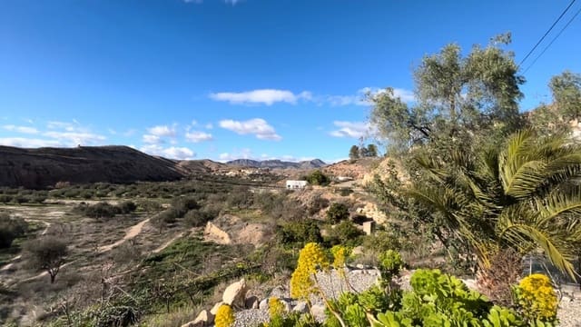 3 bedroom Finca/Country House for rent in Albox - € 650 (Ref: 9898969)