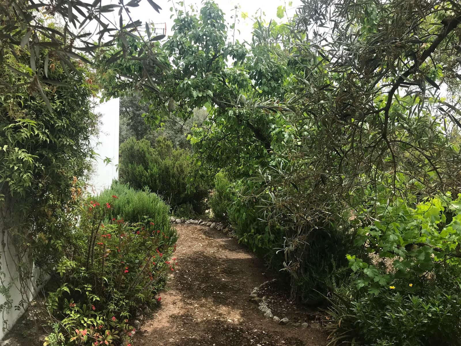 2 chambre Finca/Maison de Campagne à vendre à Villanueva de la Concepcion - 170 000 € (Ref: 8528654)