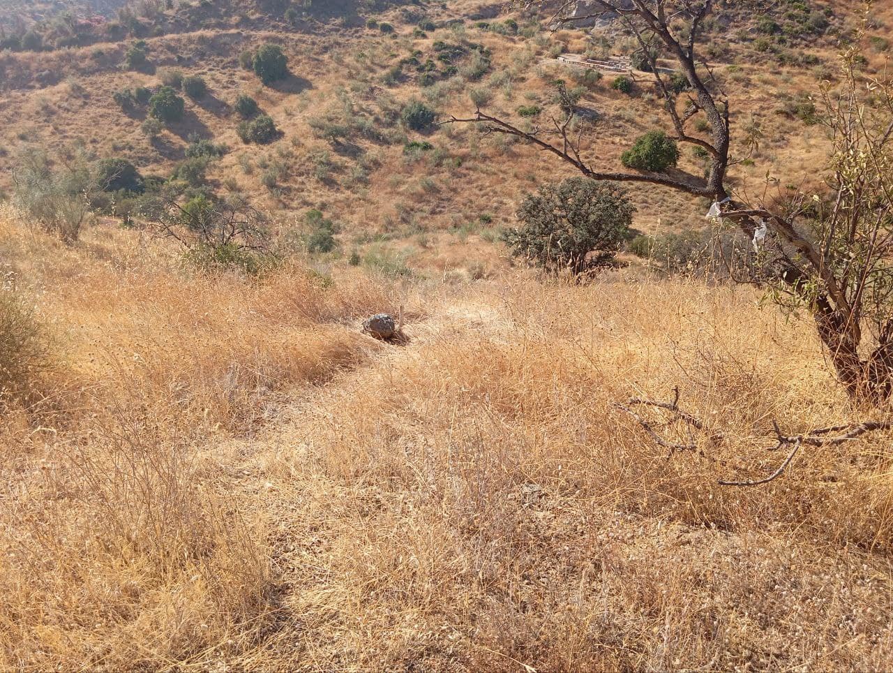 Grunde uden byggetilladelser til salg i Cartama - € 180.000 (Ref: 9266548)