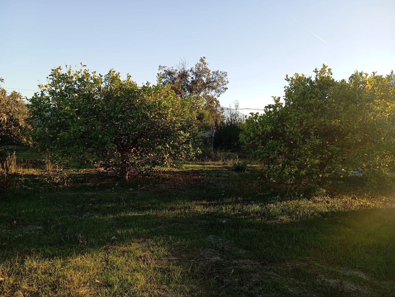 3 chambre Finca/Maison de Campagne à vendre à Cartama avec garage - 175 000 € (Ref: 9392034)