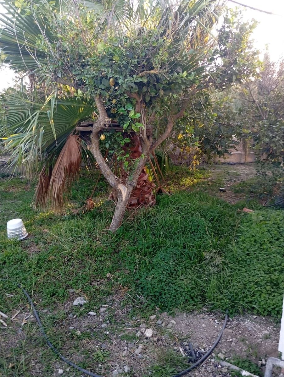 3 chambre Finca/Maison de Campagne à vendre à Cartama avec garage - 175 000 € (Ref: 9392034)