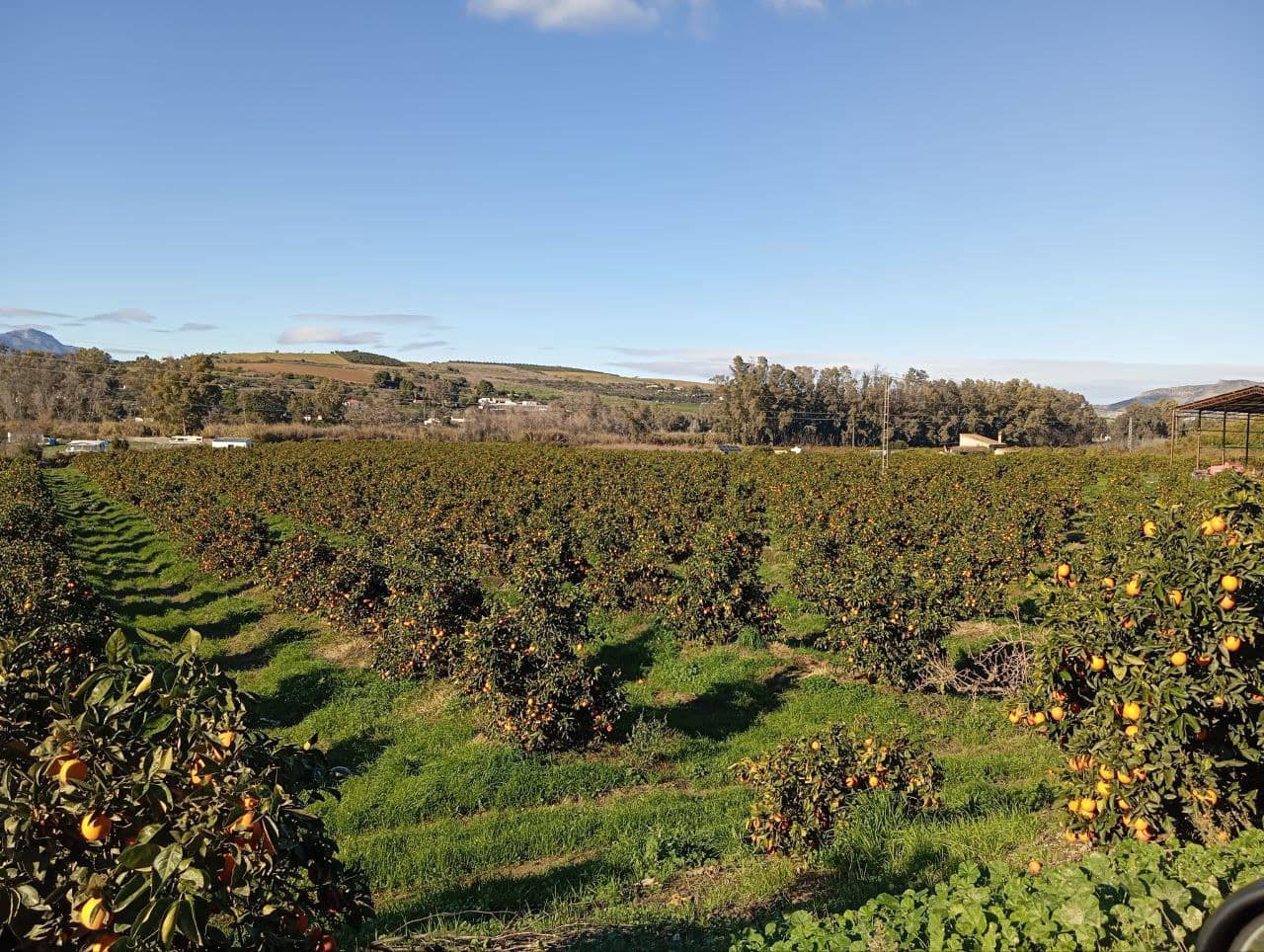 Maalaistalo myytävänä paikassa Coin mukana 
autotalli - 128 000 € (Ref: 9499972)