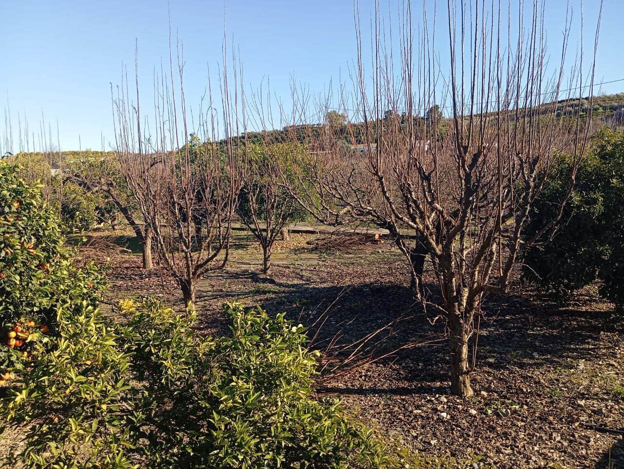 Maalaistalo myytävänä paikassa Coin mukana 
autotalli - 128 000 € (Ref: 9499972)