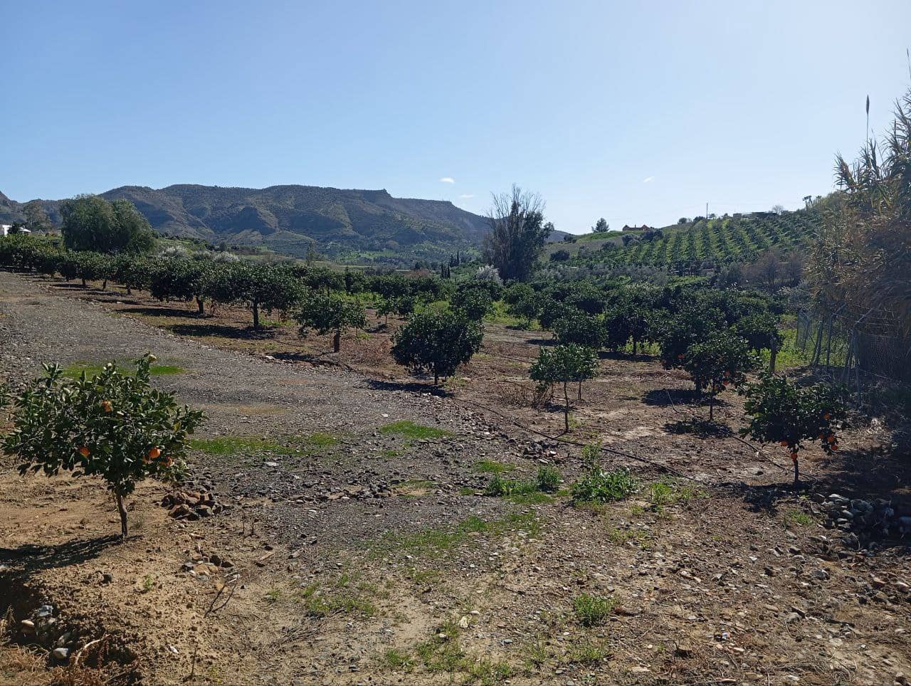 2 chambre Finca/Maison de Campagne à vendre à Alora avec piscine garage - 310 000 € (Ref: 9603523)