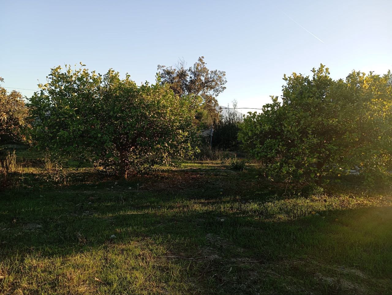 Finca/Landhuis te koop in Cartama met garage - € 175.000 (Ref: 9857799)