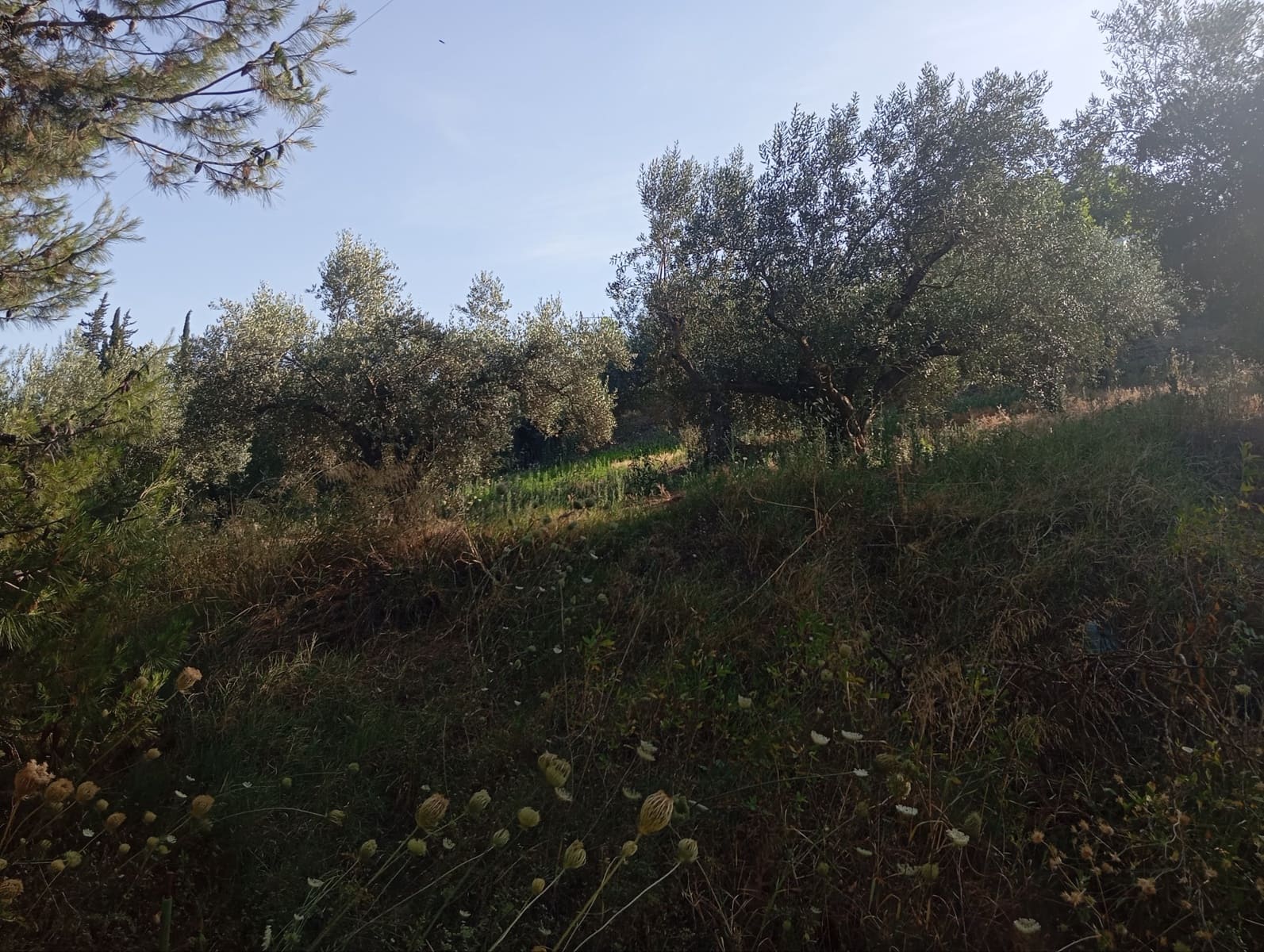 11 camera da letto Finca/Casa di Campagna in vendita in Coin - 175.000 € (Rif: 9928263)