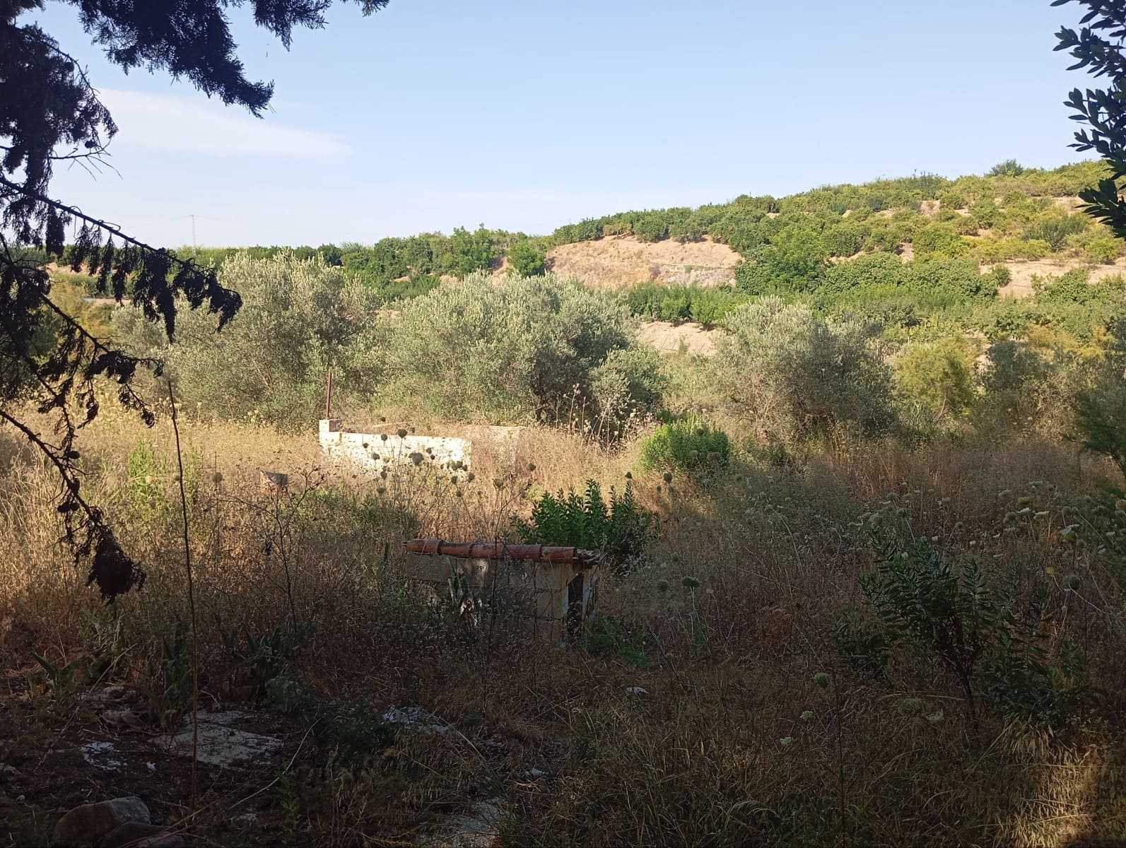 11 camera da letto Finca/Casa di Campagna in vendita in Coin - 175.000 € (Rif: 9928263)