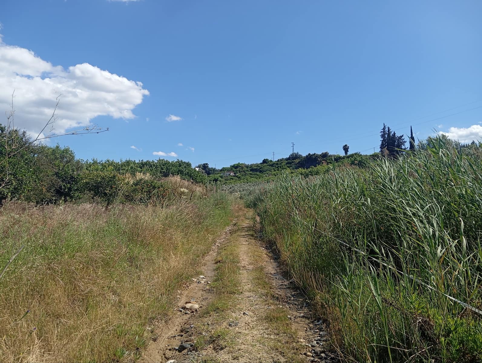 11 camera da letto Finca/Casa di Campagna in vendita in Coin - 175.000 € (Rif: 9928263)