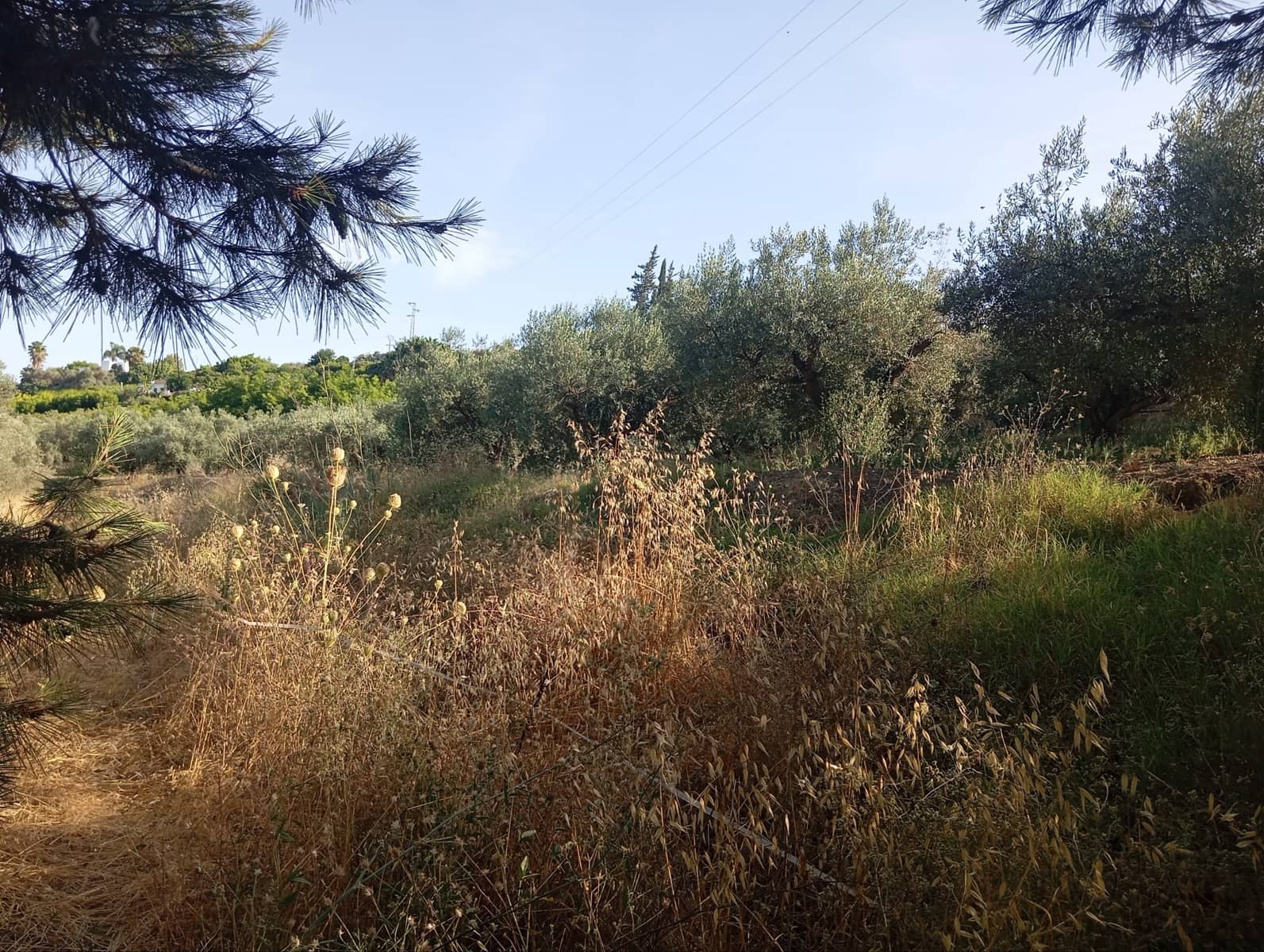 11 camera da letto Finca/Casa di Campagna in vendita in Coin - 175.000 € (Rif: 9928263)