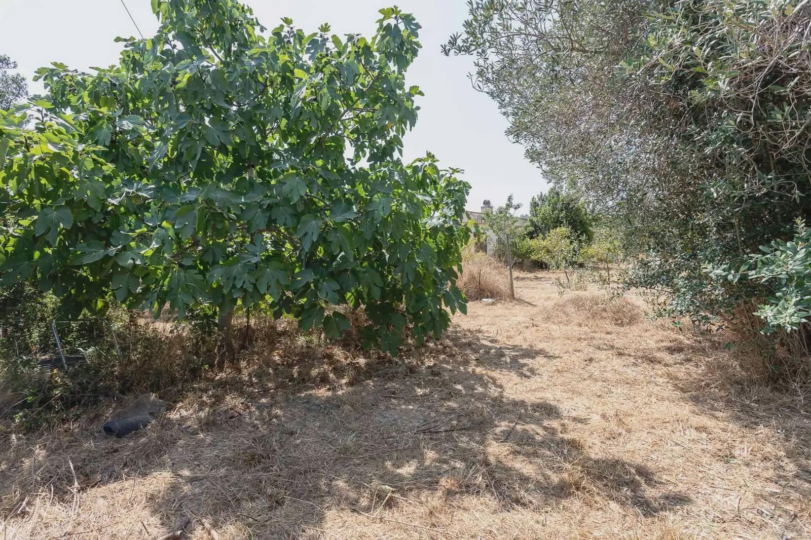 Finca/Casa Rural de 2 habitaciones en Vilamarxant / Villamarchante en venta con garaje - 135.000 € (Ref: 10004745)
