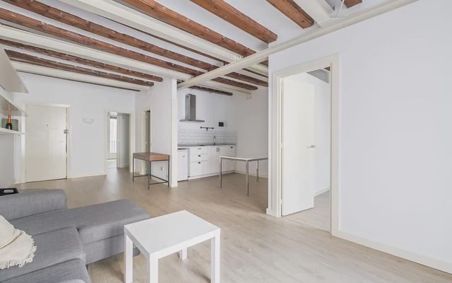 Appartement de 2 chambres à louer à Sant Pere, Santa Caterina i La Ribera, Barcelone ville - 1 368 € (Ref: 10089929)