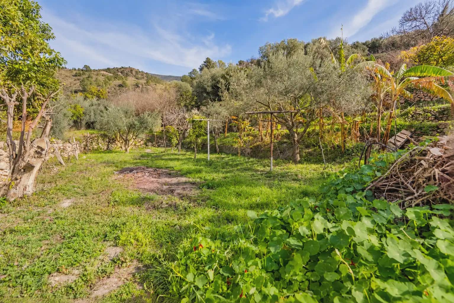 2 Zimmer Finca/Landgut zu verkaufen in Velez de Benaudalla mit Pool Garage - 355.000 € (Ref: 10145355)