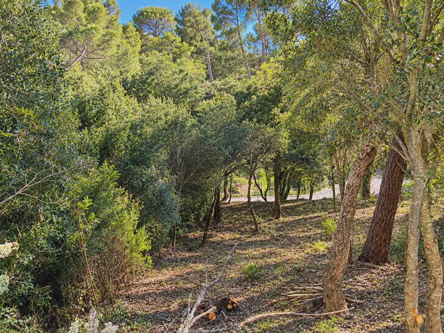 Byggegrund til salg i Begur - € 340.000 (Ref: 10185474)