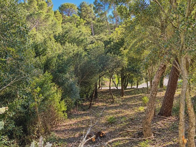 Byggegrund til salg i Begur - € 340.000 (Ref: 10185474)