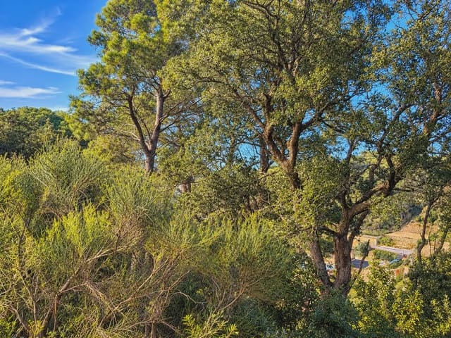 Byggegrund til salg i Begur - € 340.000 (Ref: 10185474)