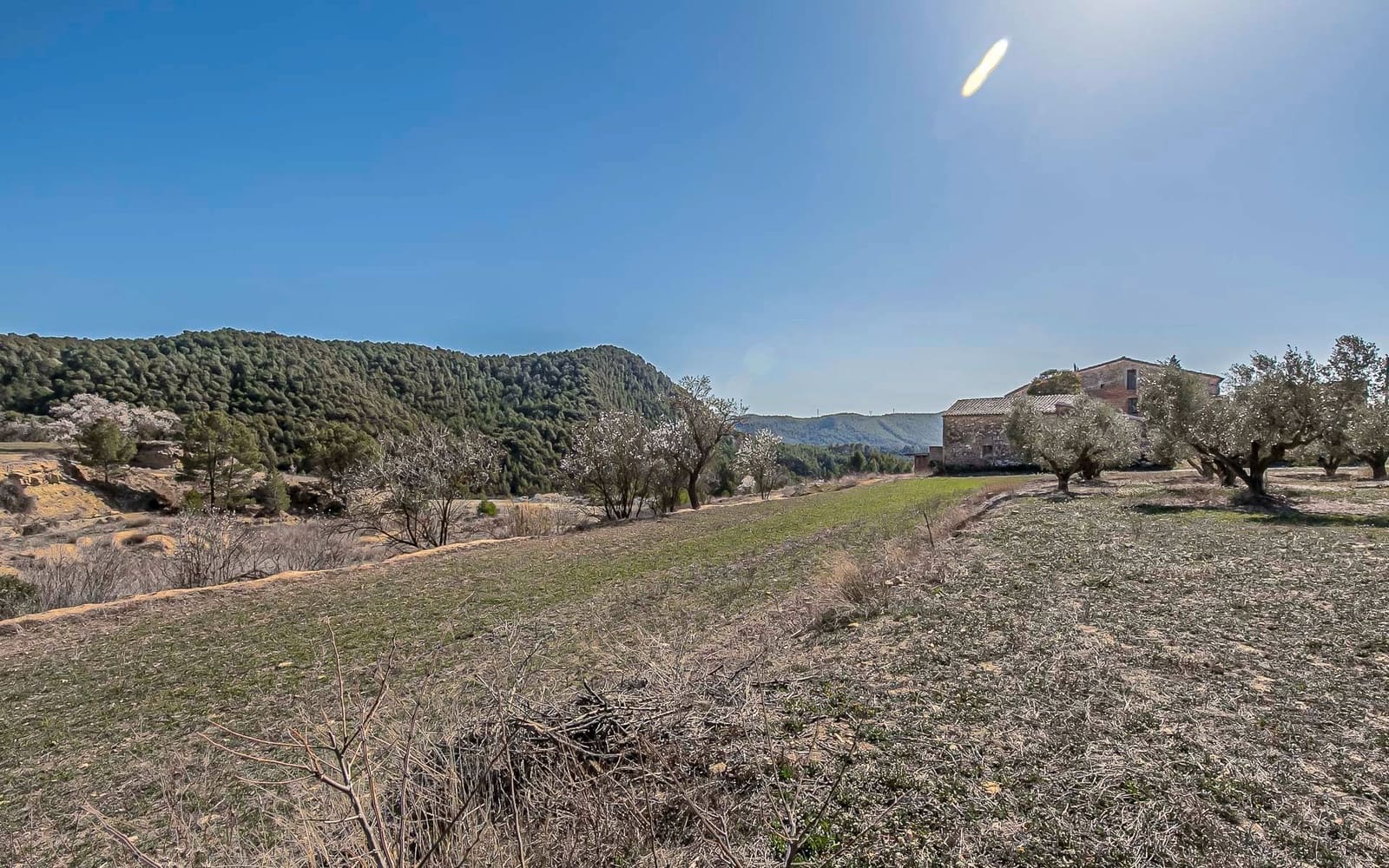 15 slaapkamer Finca/Landhuis te koop in Castelloli - € 475.000 (Ref: 8585185)