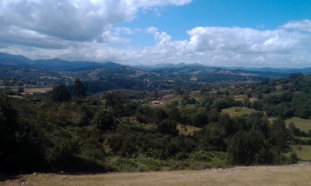 Bouwgrond te koop in Las Regueras - € 36.000 (Ref: 8585196)