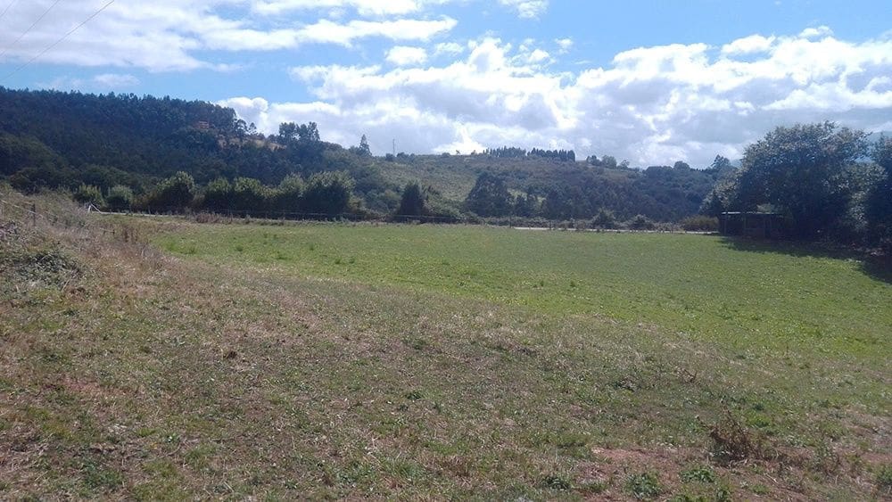 Bouwgrond te koop in Las Regueras - € 36.000 (Ref: 8585196)