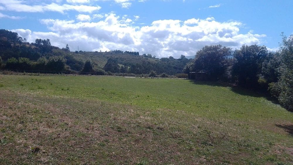 Bouwgrond te koop in Las Regueras - € 69.000 (Ref: 8585197)