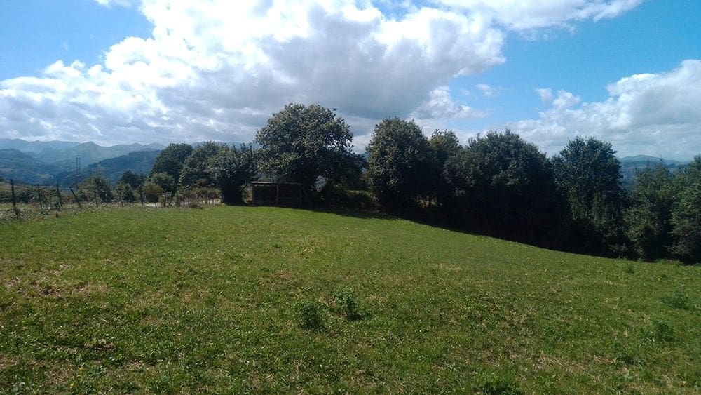 Bouwgrond te koop in Las Regueras - € 69.000 (Ref: 8585197)