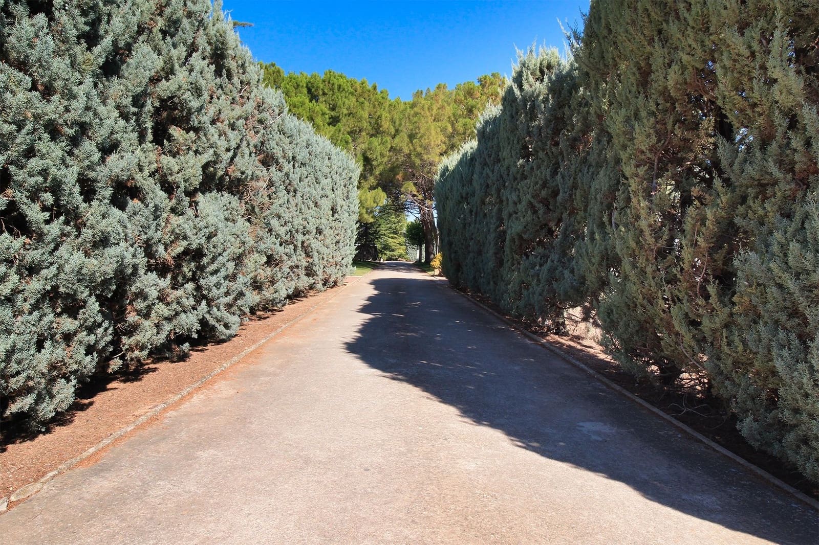 4 soverom Villa til salgs i Albacete by med svømmebasseng garasje - € 650 000 (Ref: 8585220)