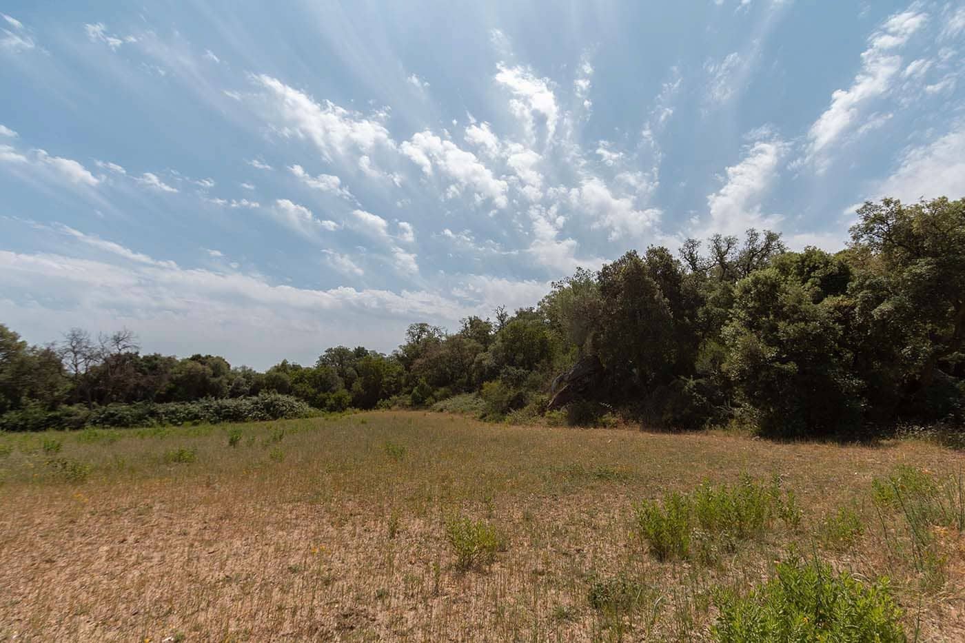 8 soveværelse Finca/Landehus til salg i Cruilles Monells i Sant Sadurni de I'Heura - € 1.000.000 (Ref: 8585235)