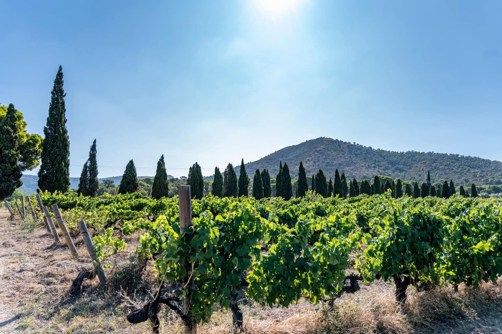 12 sypialnia Finka/Dom wiejski na sprzedaż w Roses z basenem garażem - 2 800 000 € (Ref: 8690315)