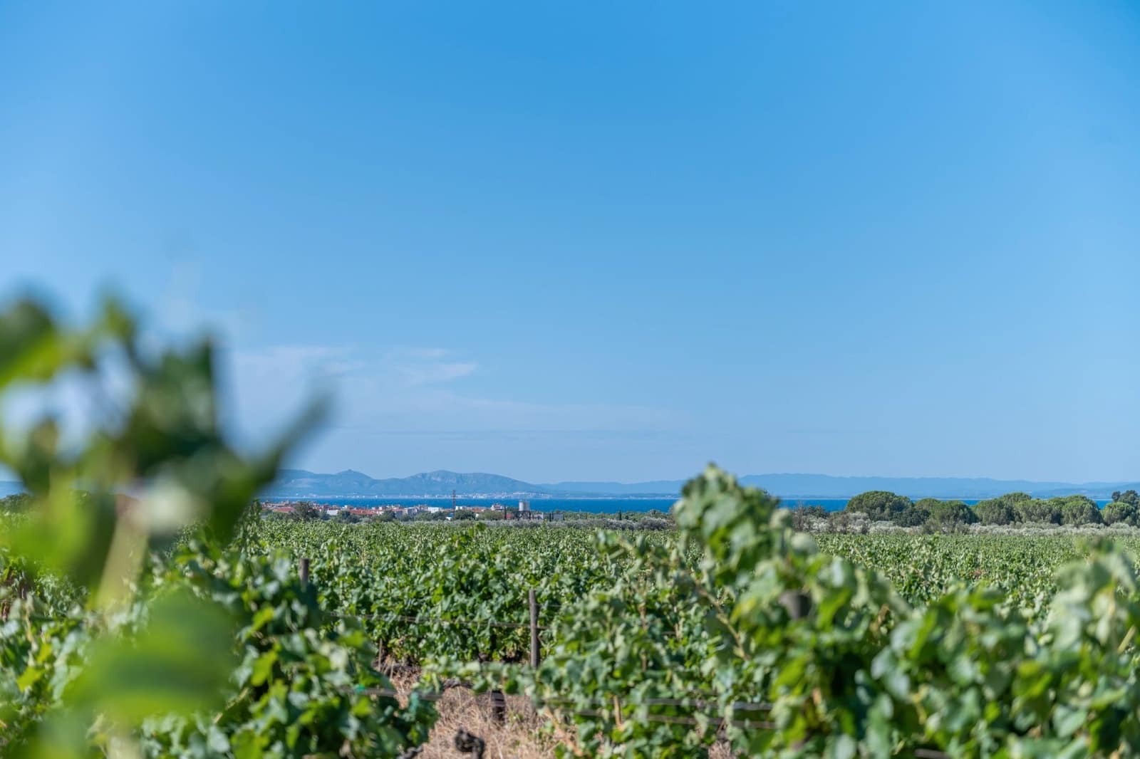 12 sypialnia Finka/Dom wiejski na sprzedaż w Roses z basenem garażem - 2 800 000 € (Ref: 8690315)