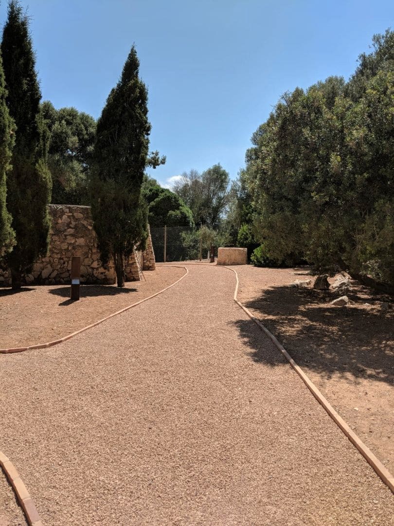 4 slaapkamer Finca/Landhuis te koop in Manacor met zwembad garage - € 4.900.000 (Ref: 8807431)